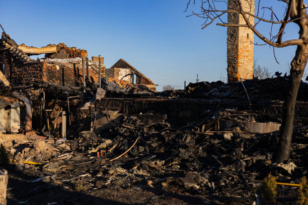 Reliable Fire Damage Removal contractor in Buffalo, TX by Fire Damage Doption